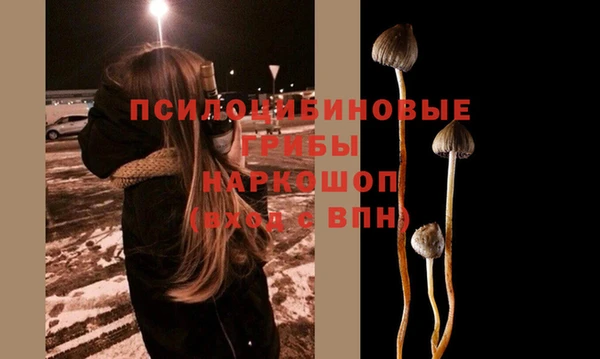 apvp Абинск