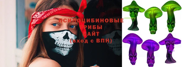 apvp Алексин