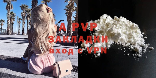 apvp Алексин